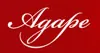 Dom za stare Agape logo